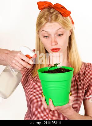 Jardinage et soin des plantes domestiques.Belle fille vaporise le citronnier avec l'eau de la bouteille de pulvérisation. Banque D'Images