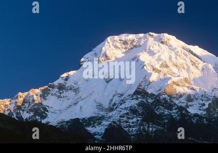 Annapurna Sud (Annapurna Dakshin) du camp de base d'Annapurna, Népal Banque D'Images