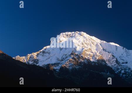 Annapurna Sud du camp de base Annapurna, Népal Banque D'Images