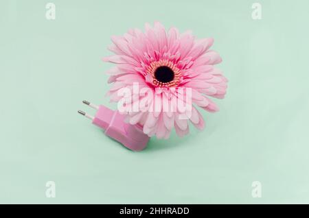 Une magnifique gerbera rose a branché une prise rose sur fond vert pastel.Concept créatif surréaliste pour la naissance de la bannière de printemps ou du wallap Banque D'Images