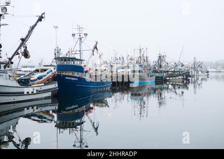 Seattle - 23 janvier 2022; bateaux de pêche commerciaux dans un terminal de pêcheurs malin de Seattle.Les bateaux réfléchissent dans l'eau calme Banque D'Images