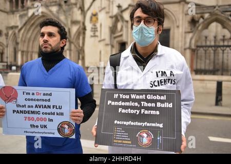 Des activistes des droits des animaux portant des costumes hachés et éclatés de faux sang se sont rassemblés devant les cours royales de justice pour protester contre l'élevage industriel.Le groupe Scrap Factory Farming a lancé sa contestation judiciaire contre DEFRA pour avoir omis de prendre des mesures préventives suffisantes contre les risques de pandémie connus de l'agriculture industrielle. Banque D'Images