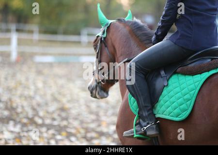 Gros plan d'un pilote concurrent non identifié sur le cheval volant du spectacle.Equitation en été.Afficher le cheval de saut sous selle en action.dre inconnue Banque D'Images