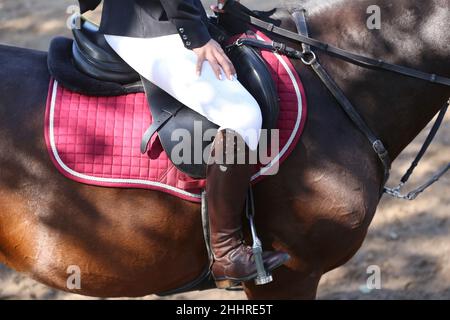 Gros plan d'un pilote concurrent non identifié sur le cheval volant du spectacle.Equitation en été.Afficher le cheval de saut sous selle en action.dre inconnue Banque D'Images