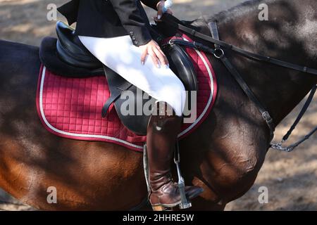 Gros plan d'un pilote concurrent non identifié sur le cheval volant du spectacle.Equitation en été.Afficher le cheval de saut sous selle en action.dre inconnue Banque D'Images