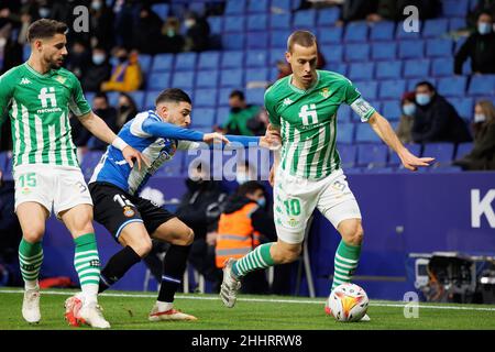 BARCELONE - 21 JANVIER : Sergio Canales en action pendant le match de la Liga entre le RCD Espanyol et Real Betis Balompie au stade RCDE le 21 janvier, Banque D'Images