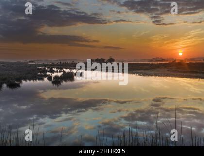 Baie de somme , marais en fond de baie, la vallée de la somme Banque D'Images