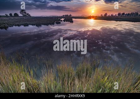 Baie de somme , marais en fond de baie, la vallée de la somme Banque D'Images