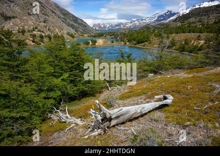 Nature immaculée avec lacs et montagnes au parc national de Perito Moreno, randonnée sur le circuit Azara, patagonie, Argentine Banque D'Images