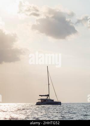 Expédition d'observation des baleines de Los Gigantes dans l'Atlantique près de la Gomera, Tenerife.Catamaran. Banque D'Images