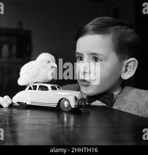 Un petit garçon avec un poussin de bébé.13th mars 1954. Banque D'Images