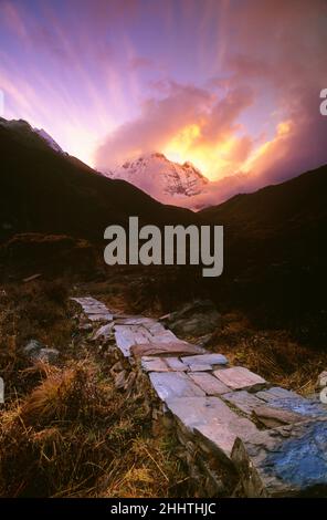 Sentier de pierre, camp de base de Machhapuchhre, chaîne de montagnes Annapurna, Népal Banque D'Images