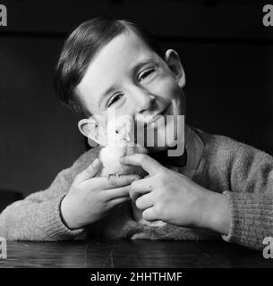 Un petit garçon avec un poussin de bébé.13th mars 1954. Banque D'Images