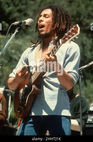 SANTA BARBARA, CA - MAI 31 : musicien, chanteur, auteur-compositeur et icône culturelle jamaïcain Bob Marley, qui interprète avec son groupe, The Wailers, au Santa Barbara County Bowl à Santa Barbara, CA, le 31 mai 1976.Crédit: Jeffrey Mayer / Rock négatifs / MediaPunch Banque D'Images