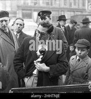 Chiots à vendre dans un stand du marché aux puces de Club Row, Bethnal Green, E1 Londres 1st mars 1955 Banque D'Images