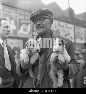 Chiots à vendre dans un stand du marché aux puces de Club Row, Bethnal Green, E1 Londres 1st mars 1955 Banque D'Images