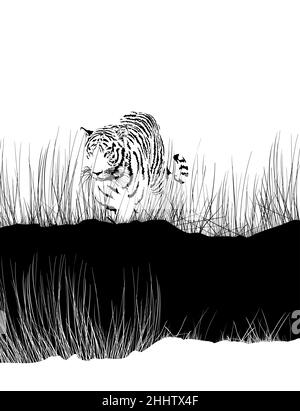 Tigre dans la grande herbe Illustration de Vecteur