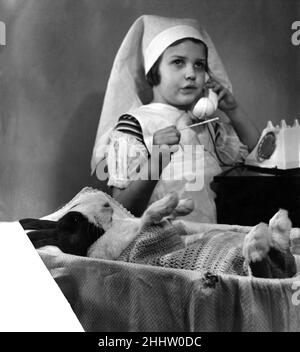 Jouant médecins et infirmières, une jeune fille s'occupe de sa patiente malade, un lapin bleu hollandais, 17th mars 1952. Banque D'Images