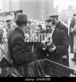 Chiots à vendre dans un stand du marché aux puces de Club Row, Bethnal Green, E1 Londres 1st mars 1955 Banque D'Images