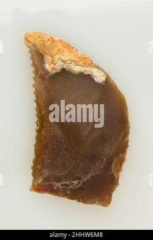 Insert de faucille ca.1184–664 C.-B. probablement Nouveau Royaume, Ramesside–troisième période intermédiaire ce petit morceau de silex a été un élément clé de la réussite d'une saison agricole dans l'Égypte ancienne.Le grain était un élément essentiel de l'économie, car le pain et la bière faits à partir de céréales étaient consommés quotidiennement.Ils ont également formé le fondement de la subsistance éternelle, comme offrandes funéraires.Les anciens Égyptiens utilisaient des faucilles faites de silex et de bois pour récolter le grain.Des morceaux de silex tels que celui-ci ont été formés pour s'adapter à une haft en bois avec un certain nombre d'autres tels inserts, et fixés avec un adhésif.Les pièces de silex ont fourni un s Banque D'Images