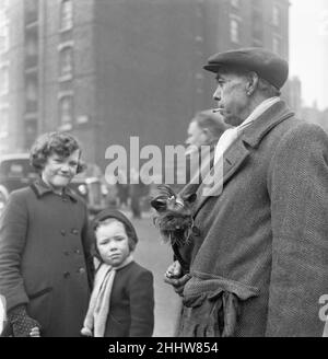 Chiots à vendre dans un stand du marché aux puces de Club Row, Bethnal Green, E1 Londres 1st mars 1955 Banque D'Images