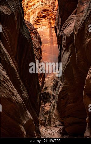 Le magnifique mur en grès brille de couleur orange au bout du couloir de Slot Canyon dans Buckskin Gulch Banque D'Images