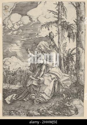 La Vierge à l'enfant bienheureux dans un paysage Albrecht Altdorfer allemand.La Vierge à l'enfant béant dans un paysage 429728 Banque D'Images