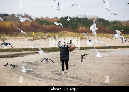 Swinoujscie, Pologne.17th novembre 2021.Une femme vue sur la plage entourée de nombreuses mouettes.Une balise blanche en forme de moulin à vent est un symbole de Swinoujscie et fait partie du logo officiel de la ville.Le port de Swinoujscie est un port maritime polonais sur la mer Baltique.Avec le port de Szczecin, créez l'un des plus grands complexes portuaires de la mer Baltique.(Photo par Karol Serewis/SOPA Images/Sipa USA) crédit: SIPA USA/Alay Live News Banque D'Images