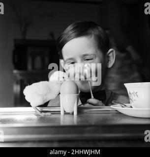 Un petit garçon avec un poussin de bébé.13th mars 1954. Banque D'Images