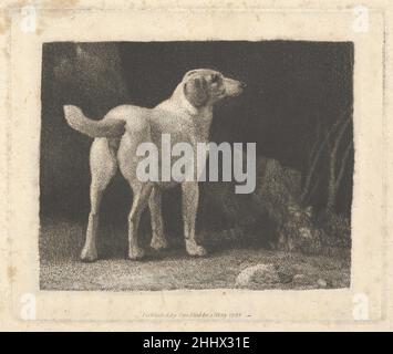 Chien (Un chien de chasse vu de l'arrière) 1 mai 1788 George Stubbs les Stubbs britanniques étaient inhabituels parmi ses contemporains pour la conception et la gravure de cet imprimé lui-même.C'est l'une des séries dans lesquelles il expérimente plusieurs méthodes à la fois.Ici, la majeure partie de la plaque a été exécutée dans la technique relativement nouvelle de la gravure en pointillé, avec un peu de mezzotint éventuellement ajouté pour produire la velouté obscurité de l'arrière-plan.Contre ce décor d'ombre, la forme solide et soigneusement délimitée du foxlighter à l'écoute se distingue dans un soulagement prononcé.Chien (Un chien de chasse vu de derrière) 343637 Banque D'Images