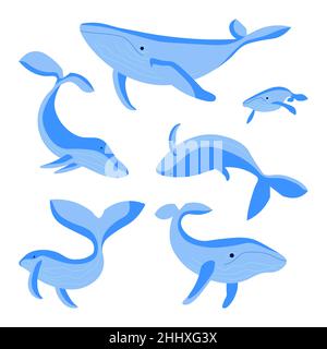 Ensemble de baleines bleues isolées sur fond blanc.Animaux marins nageant, faune sous-marine.Illustration Flat Art. Banque D'Images