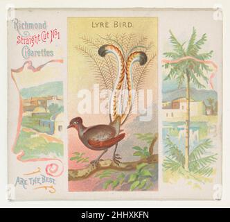 Lyre Bird, de la série Birds of the Tropics (N38) pour Allen & Ginter cigarettes 1889 émises par Allen & Ginter American Trade Cards de la série Birds of the Tropics (N38), émises en 1889 dans un jeu de 50 cartes pour promouvoir les cigarettes Allen & Ginter.Cette série est une version physiquement plus grande de l'ensemble 'oiseaux des Tropics' (N5), y compris la petite carte correspondante avec d'autres éléments picturales ajoutés.Lyre Bird, de la série Birds of the Tropics (N38) pour Allen & Ginter cigarettes 420756 Banque D'Images