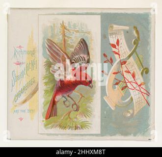 Pine Grosbeak, de la série Song Birds of the World (N42) pour Allen & Ginter cigarettes 1890 émise par Allen & Ginter American large Trade Cards de la série « Mong Birds of the World » (N42),Émis en 1890 dans un jeu de 50 cartes pour promouvoir les cigarettes de marque Allen & Ginter.La série N42 reproduit les cartes de N23 dans une plus grande taille.Pine Grosbeak, de la série Song Birds of the World (N42) pour Allen & Ginter cigarettes 422023 Banque D'Images