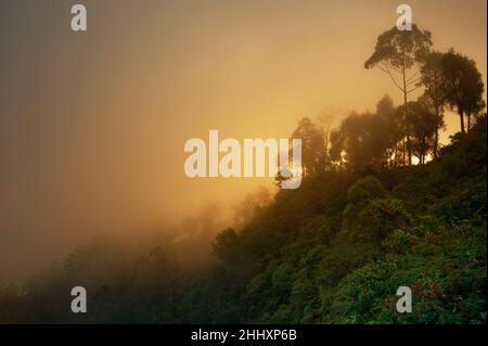 Cette crête entre le mont agung et le mont batur était dans l'ombre, couvert par le brouillard quand soudain le coucher du soleil brausait une merveilleuse lumière jaune Banque D'Images