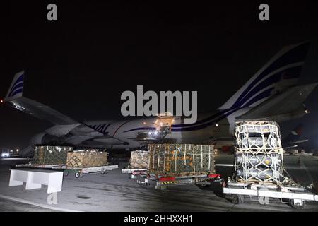 RÉGION DE KIEV, UKRAINE - le 25 JANVIER 2022 - le nouveau lot d'aide militaire des États-Unis est arrivé à l'aéroport international de Boryspil, dans la région de Kiev, dans le nord de l'Ukraine.Credit: UKRINFORM/Alamy Live News Banque D'Images