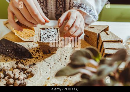 processus de stratification des semences en plantant sur une couche de neige au-dessus du sol. les mains du jardinier dans des graines de chemise brodées ethniques en écologi de tourbe Banque D'Images