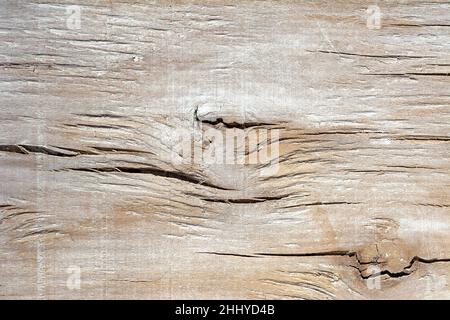 Texture de fond surface en contreplaqué peinte en blanc motif de panneau matériau sec avec fissures et nœuds Banque D'Images