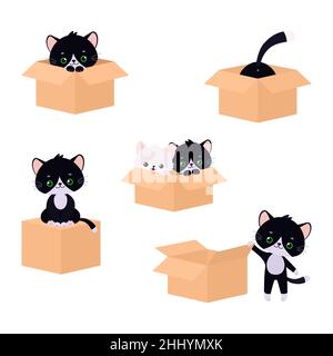 Ensemble de chatons kawaii mignons jouant avec boîte isolée sur fond blanc.Style dessin animé plat.Illustration vectorielle Illustration de Vecteur