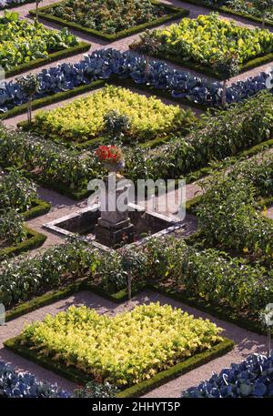 Villandry, Château de Villandry, Gemüsegarten Banque D'Images