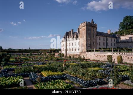 Villandry, Château de Villandry, Gemüsegarten Banque D'Images