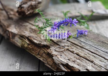 Deux anneaux de mariage blancs en or se trouvent sur une vieille planche en bois.Concept de mariage écologique.Accessoires pour mariée et marié, style boho rustique.Branche de vesce d'oiseau Banque D'Images