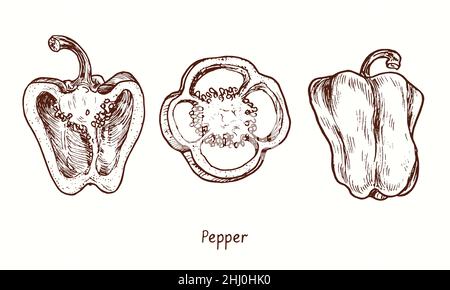 Collection de poivron, moitié, coupe de coupe vue de dessus et entière. Dessin d'une boisée noire et blanche à l'encre. Banque D'Images