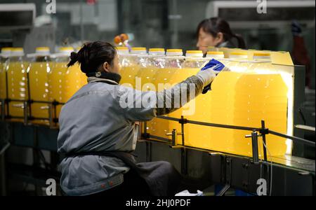 HAI'AN, CHINE - le 26 JANVIER 2022 - Un travailleur travaille dans une chaîne de production de remplissage d'huile de cuisson à Hai 'an, dans la province de Jiangsu, en Chine orientale, le 26 janvier 2022. Banque D'Images