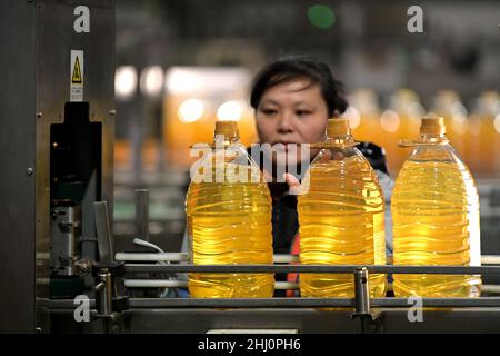 HAI'AN, CHINE - le 26 JANVIER 2022 - Un travailleur travaille dans une chaîne de production de remplissage d'huile de cuisson à Hai 'an, dans la province de Jiangsu, en Chine orientale, le 26 janvier 2022. Banque D'Images