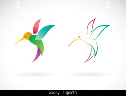 Vecteur d'un motif colibris sur fond blanc, / Vector Hummingbird pour votre conception.Illustration vectorielle superposée facile à modifier. Illustration de Vecteur