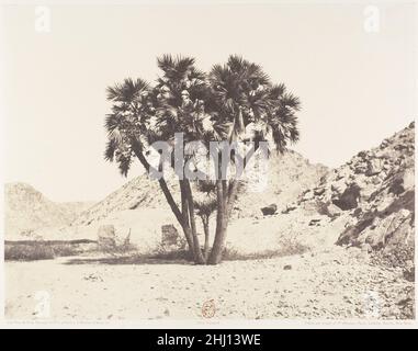 Environs de Fîleh, palmier doux sur la Rive orientale du Nil 1851–52, imprimé 1853–54 Félix Teynard Français.Environs de Fîleh, palmier doux sur la Rive orientale du Nil 261898 Banque D'Images