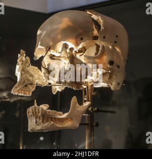 CRÂNES DÉCORÉS AU MUSÉE DE L'HOMME, PARIS Banque D'Images