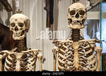 CRÂNES DÉCORÉS AU MUSÉE DE L'HOMME, PARIS Banque D'Images