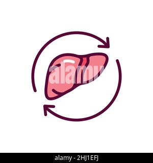 Icône de la ligne de couleur de greffe du foie.Elément vectoriel isolé.Pictogramme de contour pour la page Web, l'application mobile, la promotion Illustration de Vecteur