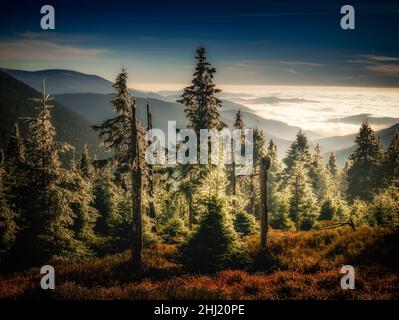 Paysage de montagne pittoresque avec arbres et forêt, lumière du soleil, vue d'une chaîne de montagnes à la vallée remplie de nuages bas pendant la température inversio Banque D'Images